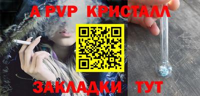 гидра Нальчик