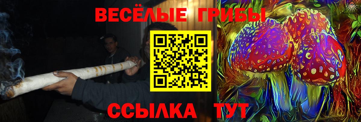 Воскресенск  Псилоцибиновые грибы GOLDEN TEACHER  Псилоцибиновые грибы GOLDEN TEACHER  Вход с VPN 